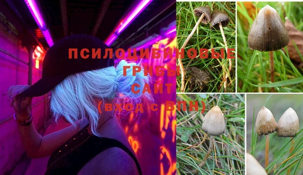 трава Алексин
