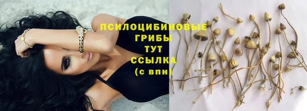 трава Алексин