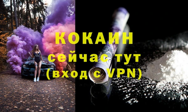 стафф Алзамай