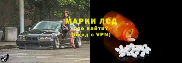 стафф Алзамай