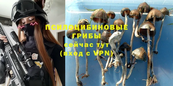 трава Алексин