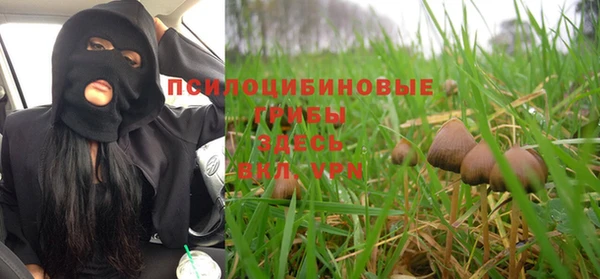 стафф Алзамай